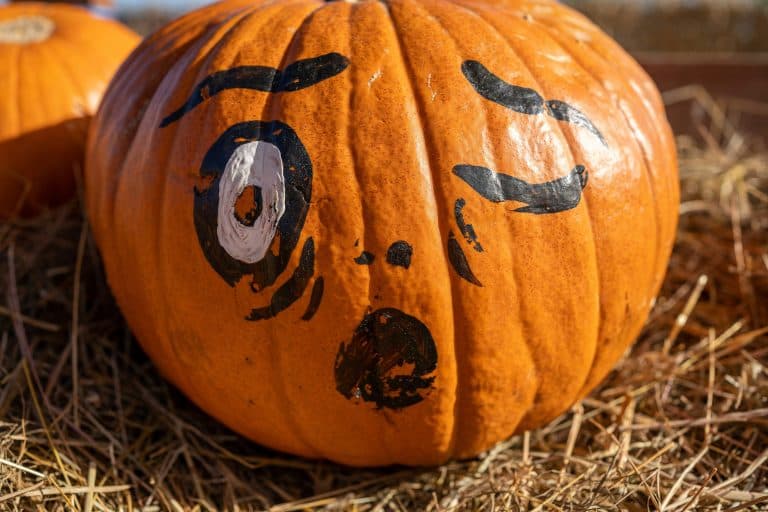 Cover Image for Spooky season is here!